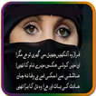 Ankhun Ki Shayri (Urdu Poetry)