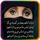 Ankhun Ki Shayri (Urdu Poetry) icône