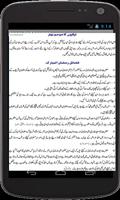 Mah e Ramzan  Fazail O Masail تصوير الشاشة 2