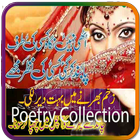 Best Urdu Poetry Collection icône