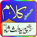 Kalam e Waris Shah APK