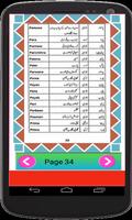 Huge Islamic Names Collection تصوير الشاشة 2