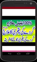 Gurday ki pathri/dard  khtam تصوير الشاشة 2