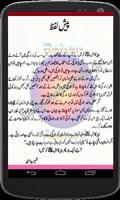 Peer e Kamil(Urdu Novel)Part#2 پوسٹر