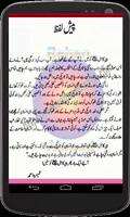 Peer e Kamil (Urdu Novel) #1 скриншот 1