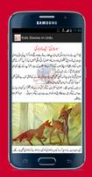 Kids Stories in Urdu capture d'écran 1