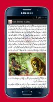 Kids Stories in Urdu capture d'écran 2