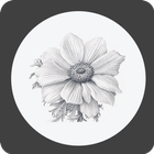 How to Draw Flower 图标