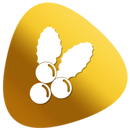 Christmas Carols New Age APK