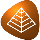 Pyramid Power Meditation 432Hz icon