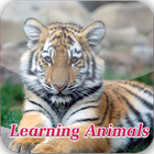 Kids Animal Learning Zeichen