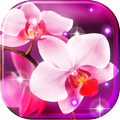 Orchid Music live wallpaper