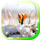 Early Spring Nature APK