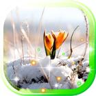 Early Spring Nature icon