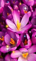 Flowers Best HD live wallpaper captura de pantalla 1