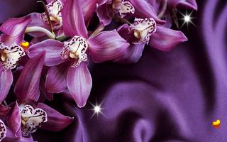 Flowers Best HD live wallpaper 截图 3