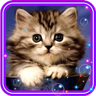 Hello Cute Kitty LWP icône
