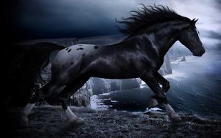 Horses Night live wallpaper screenshot 3