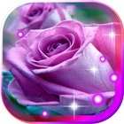 Purple Roses 2016 LWP icône