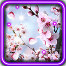 Sakura Best HD 2016 APK