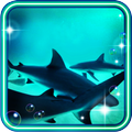 Sharks Free