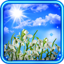 Snowdrops n Sun APK