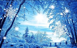 Winter Snow falling captura de pantalla 3