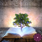 Reiki Wisdom Library آئیکن