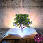 Reiki Wisdom Library أيقونة