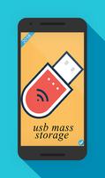 Usb Mass Storage Affiche