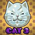 Cat 3