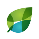 Relational Values APK