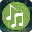 Forest relax sounds of nature APK