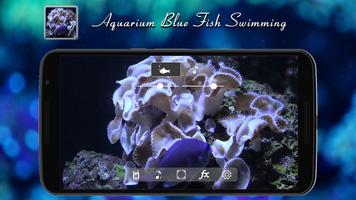 Aquarium blue fish swimming ポスター