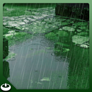 Green Raindrops at Synagogue APK