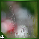 Rain droplets swirl on Window APK