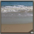 Sandy Beach Waves