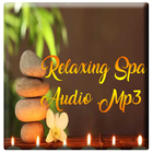 Best Relaxing Spa Music icône