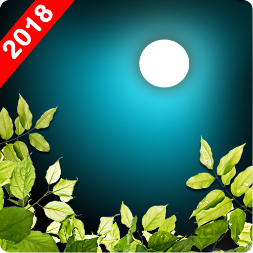 Sleep Sounds - Rain and nature