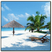 Ocean Sounds Mp3