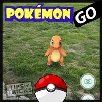 Poster Guide for Pokémon Go