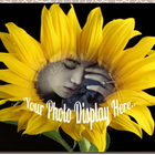 Sunflower Photo Editor Zeichen