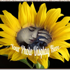 Sunflower Photo Editor icon