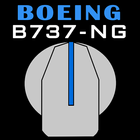 Boeing B737-NG cockpit trainer icône