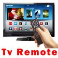 Universal TV Remote Control