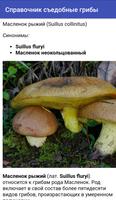 Съедобные грибы - справочник грибника capture d'écran 3