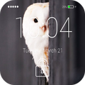 Owl Lock Screen