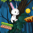 آیکون‌ Super Rabbit Run