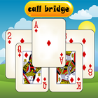 Call Bridge game icône