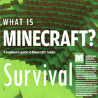 The Ultimate Guide Minecraft Survival Zeichen